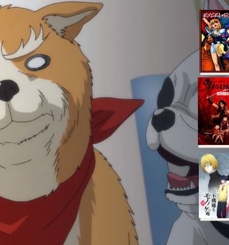 Best Dog Anime