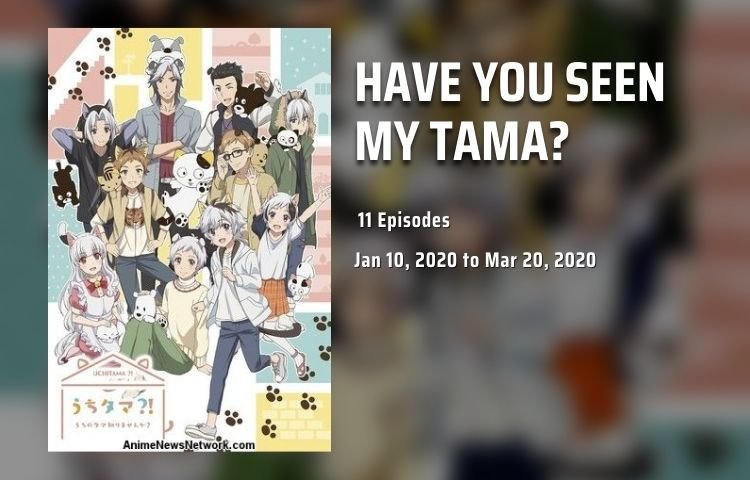 Have You Seen My TAMA