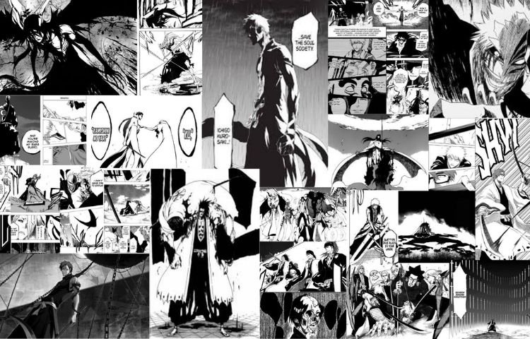Bleach Manga Arcs