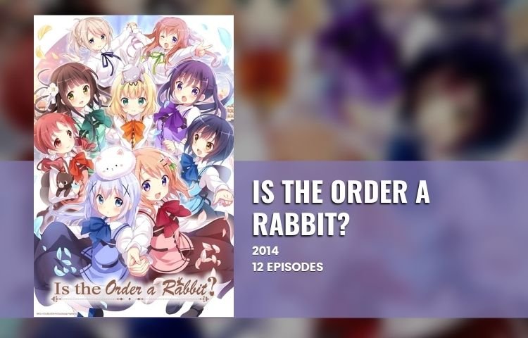 Is The Order A Rabbit