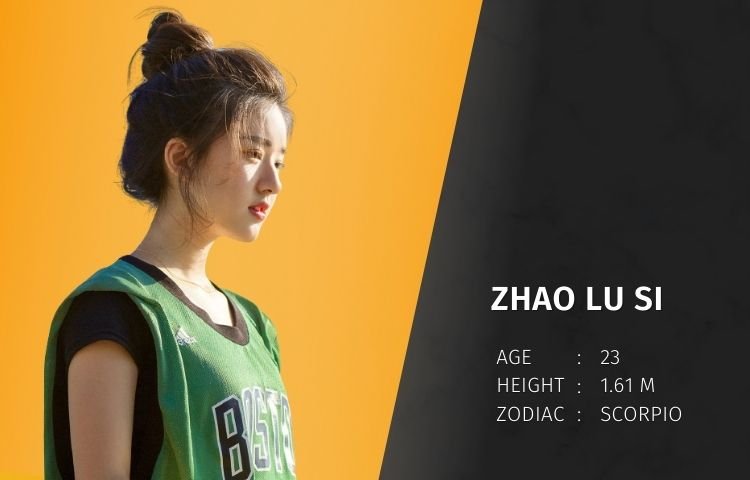 Zhao Lu Si