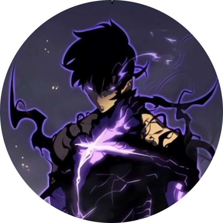 Solo Leveling PFP Collection(Anime Edition)