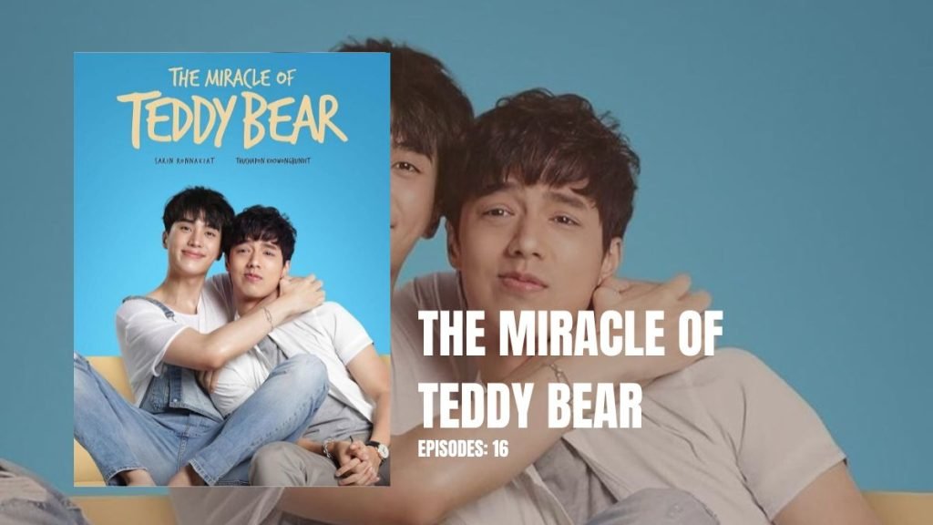 The Miracle of Teddy Bear 1
